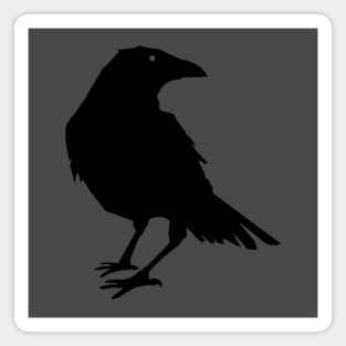 Beautiful Black Crow Raven Bird Silhouette Magnet